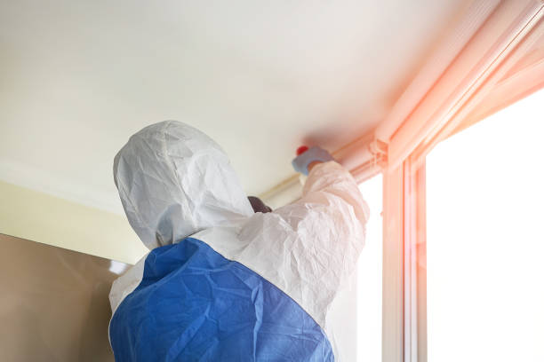 Biohazard Mold Removal in Walnut, CA