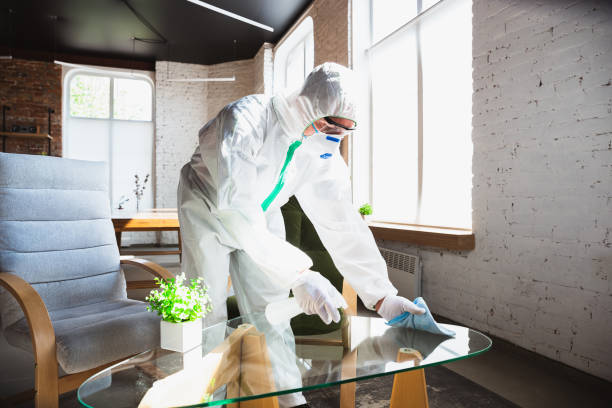 Professional Mold Inspection in Walnut, CA